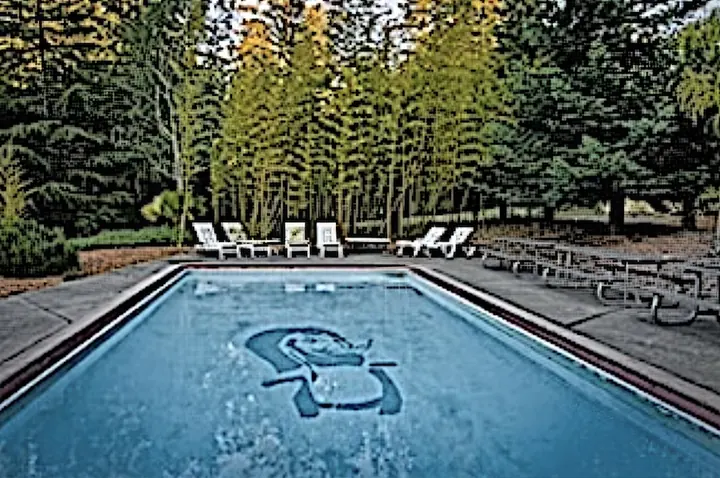 Chateau Pool copy